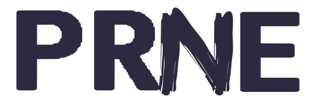 Logo FEUPA 2025